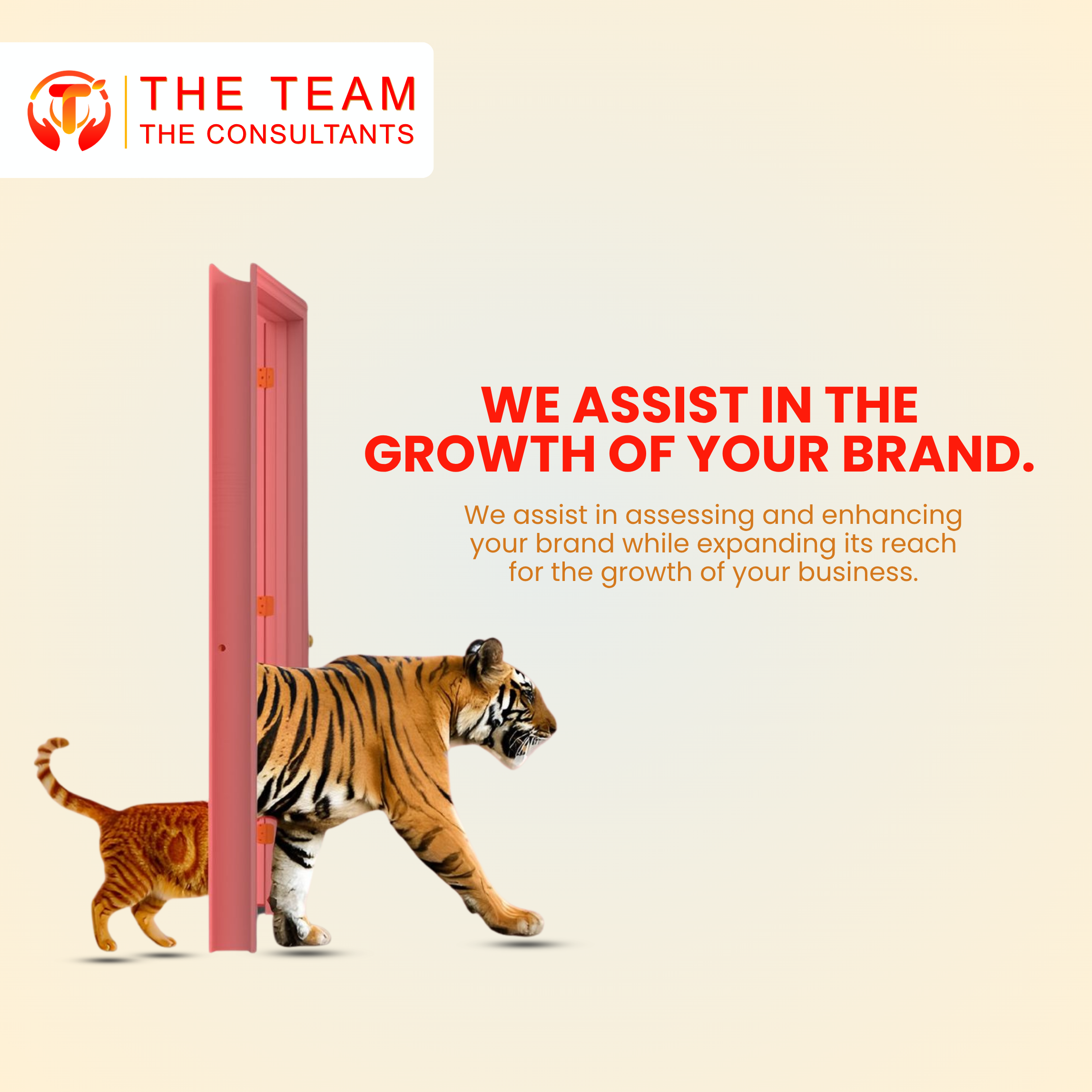 Brand Growth